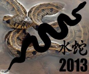 пазл 2013, год змеи воды. Согласно китайскому календарю, с 10 февраля 2013 по 30 января 2014